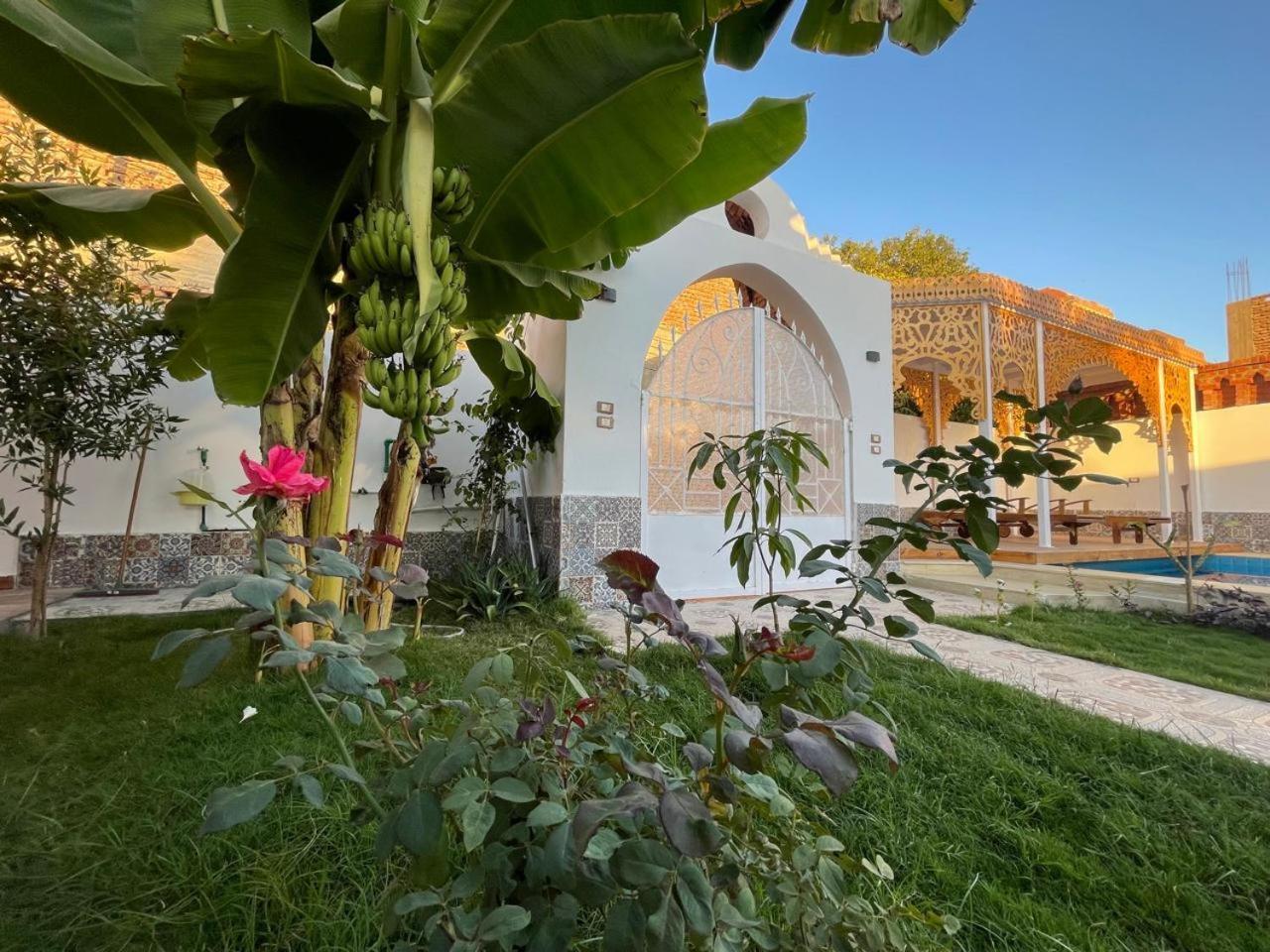 Jazirat al Awwamiyah Villa Kemet מראה חיצוני תמונה
